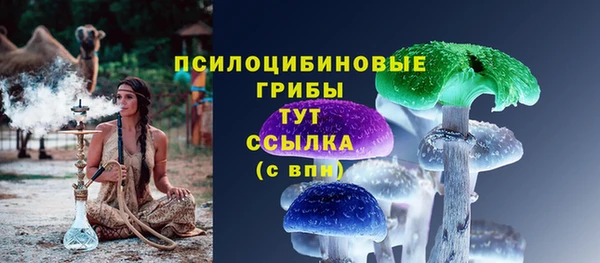 тгк Тобольск