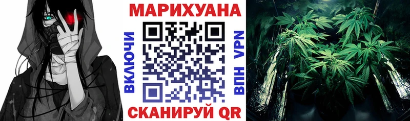 цены наркотик  Дальнегорск  Бошки Шишки Amnesia 